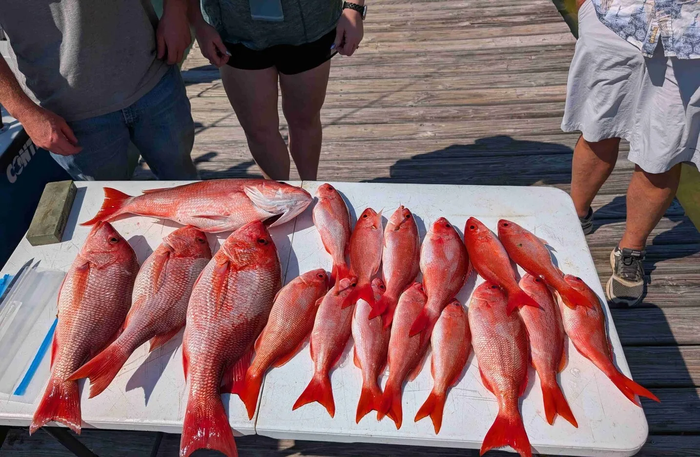 10 freshwater fish caught while fishing in FL