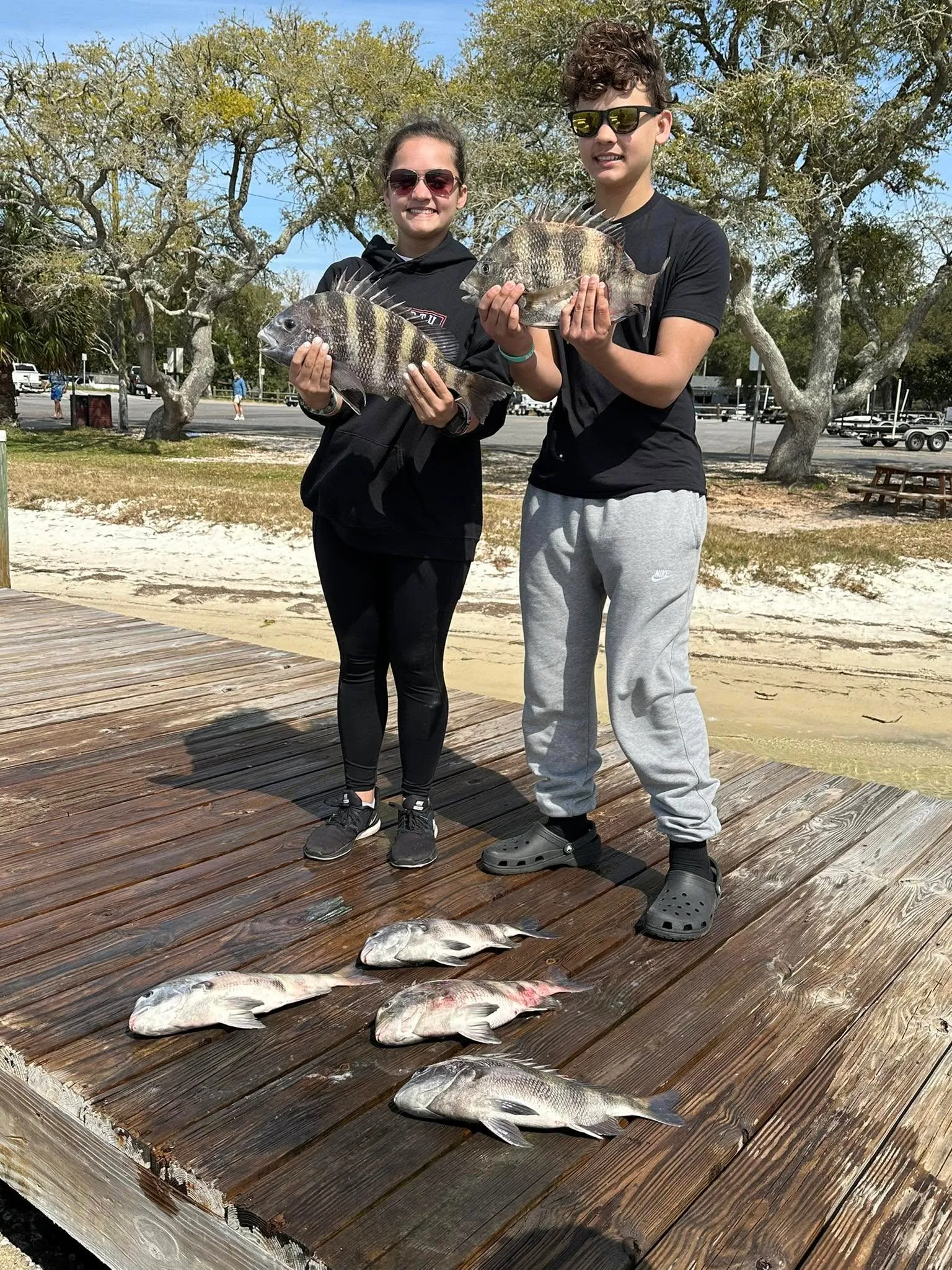 Sheepshead fish caught in Florida waters